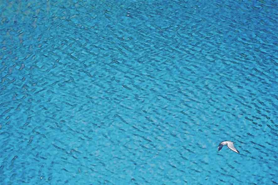 芦屋プラン株式会社 宇治市植物公園